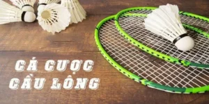 Bật Mí Cách Chơi Cá Cược Cầu Lông Tại 88GO Chuẩn Xác Nhất
