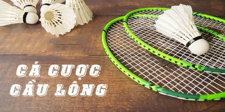 Bật Mí Cách Chơi Cá Cược Cầu Lông Tại 88GO Chuẩn Xác Nhất