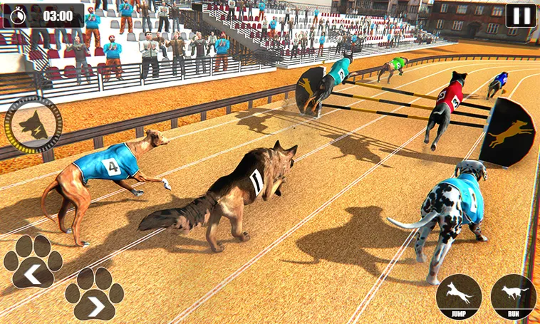 Bí Quyết Thắng Lớn Game Nhanh Đua Chó Tại 88GO: Hướng Dẫn Chi Tiết 2 Bí Quyết Thắng Lớn Game Nhanh Đua Chó Tại 88GO: Hướng Dẫn Chi Tiết