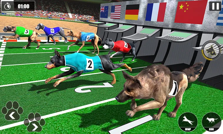 Bí Quyết Thắng Lớn Game Nhanh Đua Chó Tại 88GO: Hướng Dẫn Chi Tiết